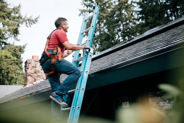 Professional Roofing in Heeia, HI